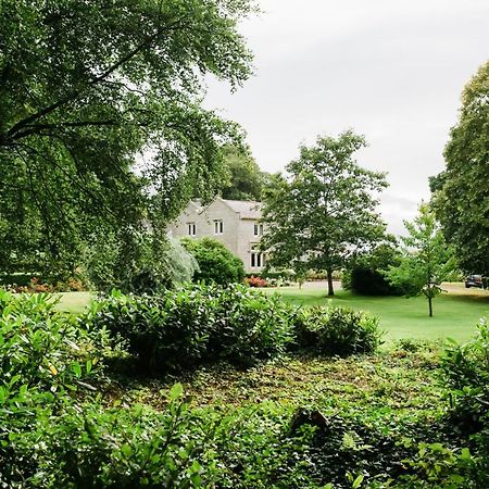 Courtyard Cottage Carlow Zewnętrze zdjęcie