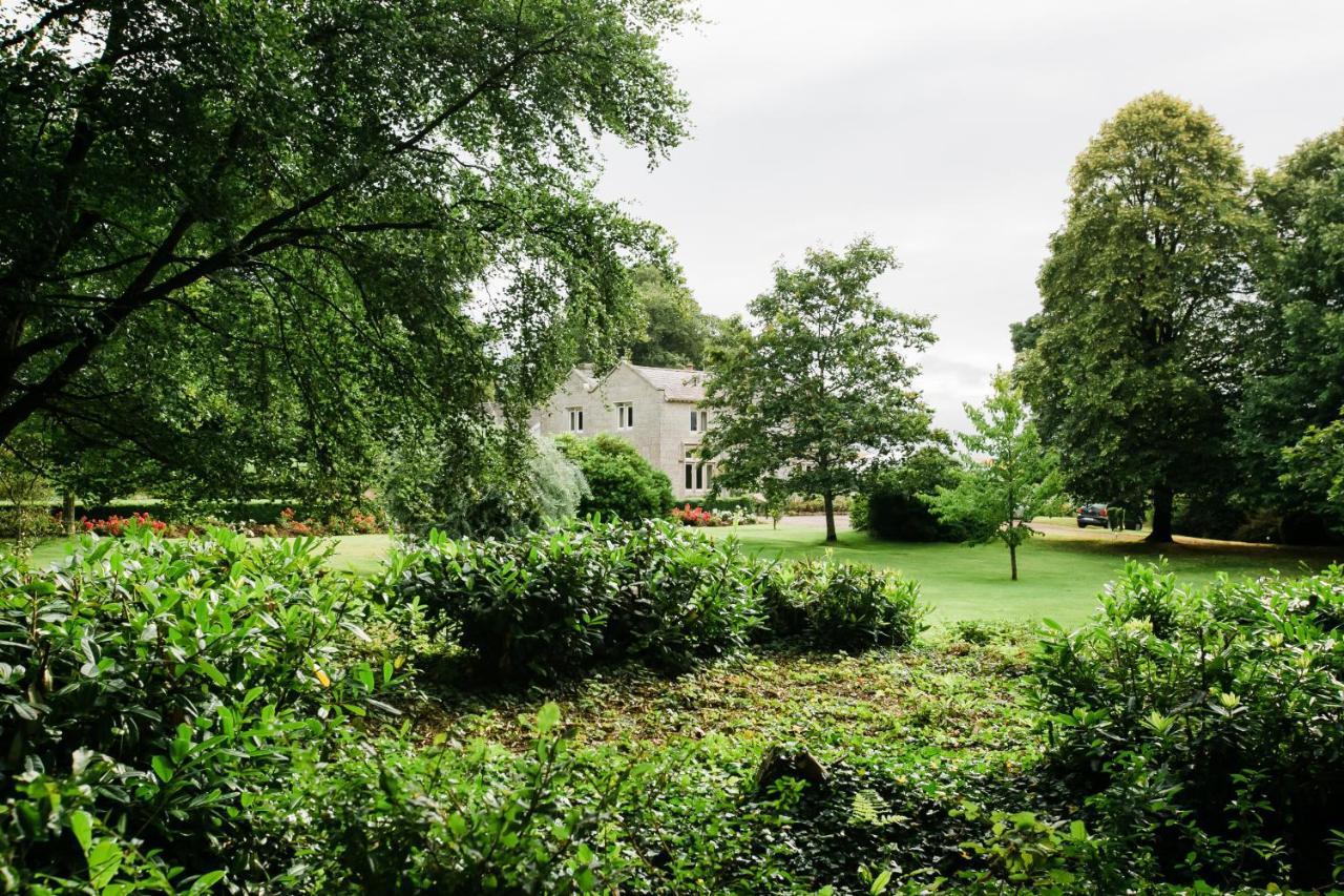 Courtyard Cottage Carlow Zewnętrze zdjęcie