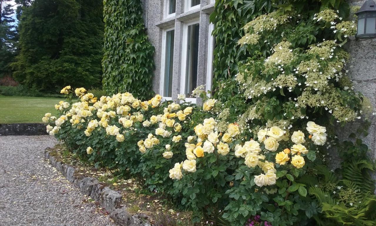 Courtyard Cottage Carlow Zewnętrze zdjęcie