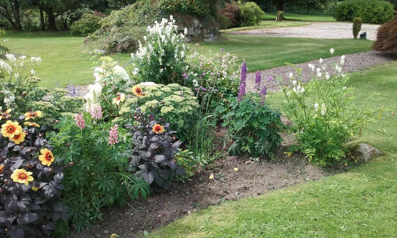 Courtyard Cottage Carlow Zewnętrze zdjęcie